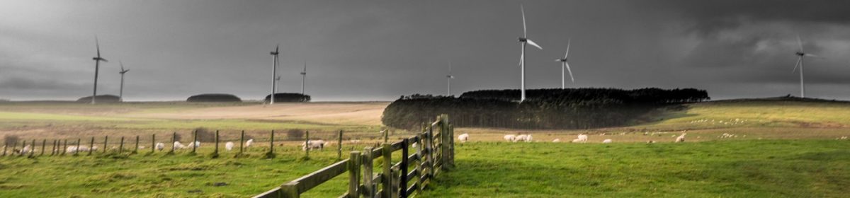 Ellingham Community Trust